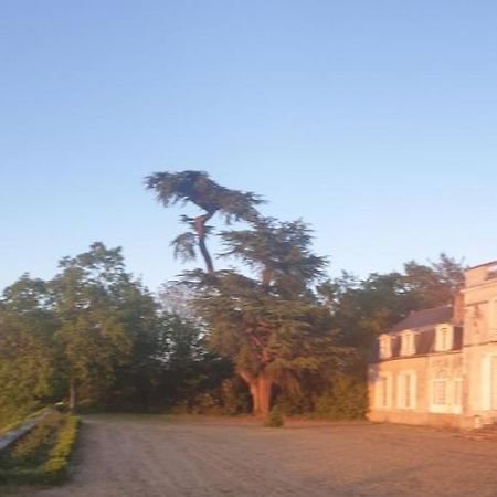 Chateau De Colliers Мюид-сюр-Луар Экстерьер фото